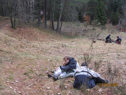 Kliknij aby zobaczy peny rozmiar